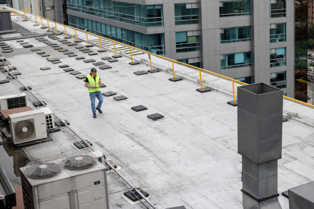 Best Skylight Installation and Repair  in Bethesda, OH